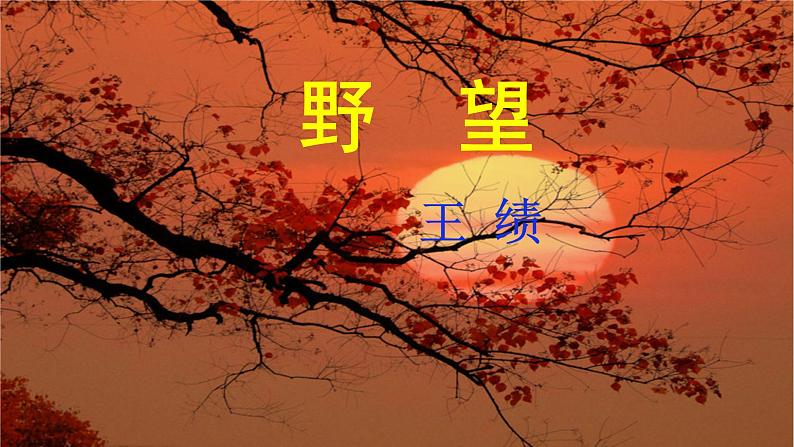 2021-2022学年部编版语文八年级语文上册13唐诗五首课件（共83张PPT)05