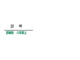 2021-2022学年部编版八年级语文上册20蝉课件