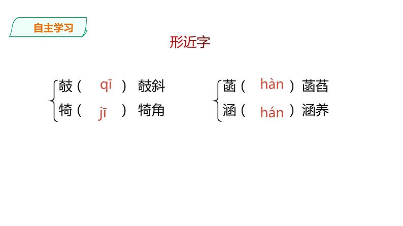 2021-2022学年部编版七年级上册语文荷叶母亲课件PPT08