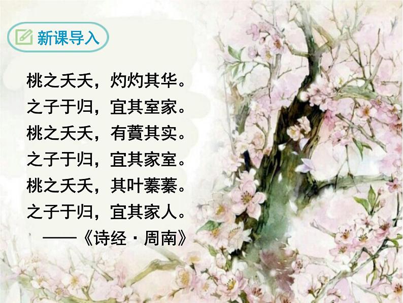 一棵小桃树-ppt优秀课件03