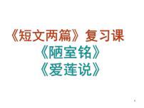 初中语文人教部编版七年级下册爱莲说复习课件ppt