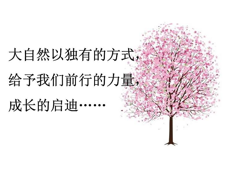 18 一棵小桃树课件第1页