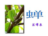语文八年级上册19* 蝉课堂教学课件ppt