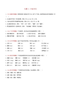 专题01 字音字形-2021年中考语文真题分项汇编 （全国通用）（第3期）（原卷版）