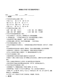 人教部编版九年级下册7* 溜索随堂练习题