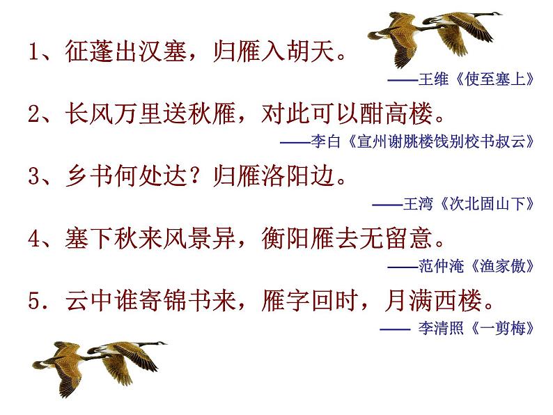 大雁归来ppt第3页