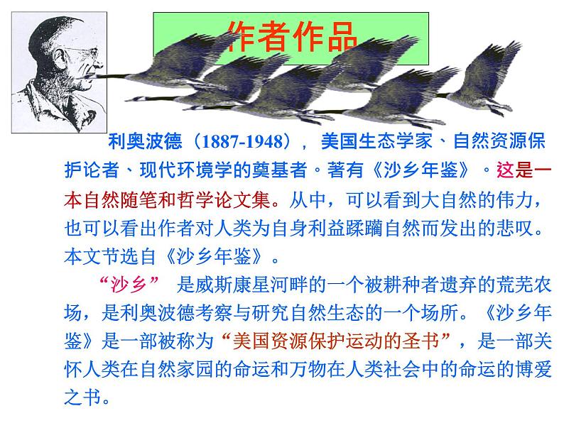 大雁归来ppt第4页