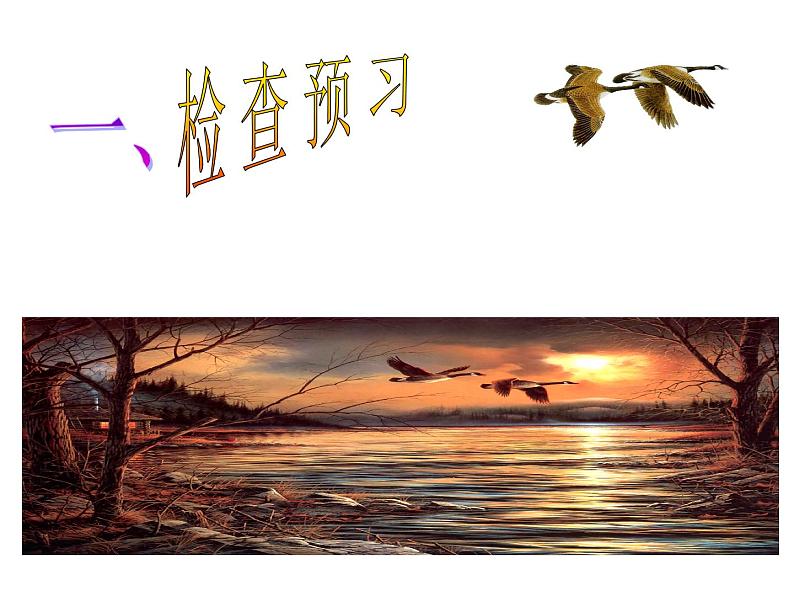 大雁归来ppt第5页