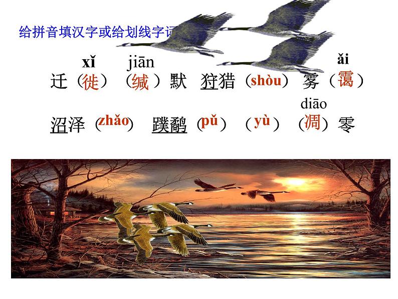 大雁归来ppt第6页