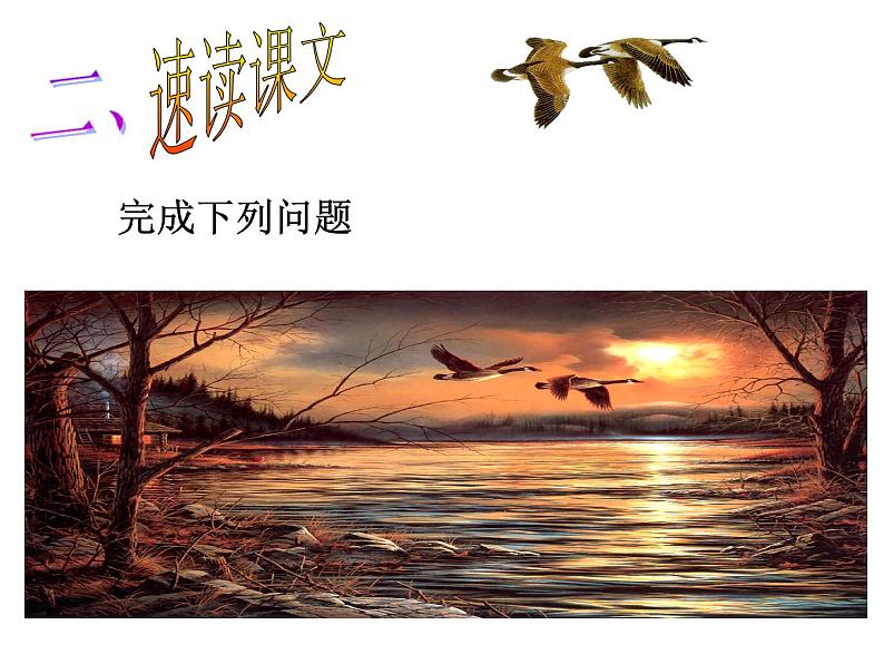 大雁归来ppt第7页