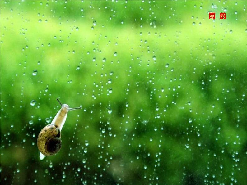 第3课《雨的四季》七年级语文上册同步备课课件（部编版）第5页