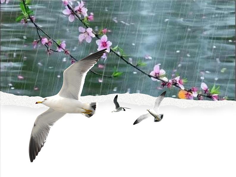 第3课《雨的四季》七年级语文上册同步备课课件（部编版）第6页