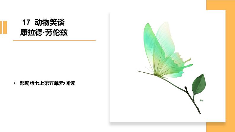 第十七课《动物笑谈》七年级上册语文第五单元课件第1页