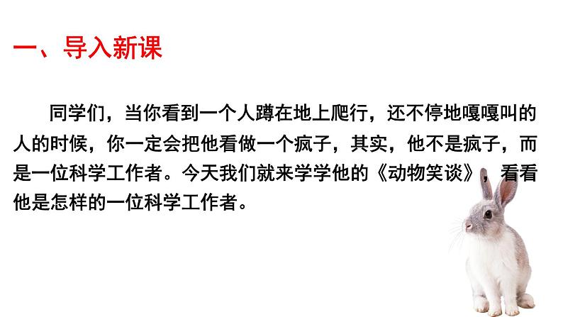 第十七课《动物笑谈》七年级上册语文第五单元课件第3页