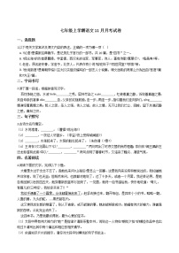 2020-2021年浙江省嘉兴市七年级上学期语文11月月考试卷含答案解析