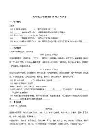 2020-2021年上海浦东新区九年级上学期语文10月月考试卷含答案