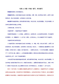 专题11 肖像（外貌）描写、神态描写-初中现代文阅读考点+答题技巧模板之记叙文