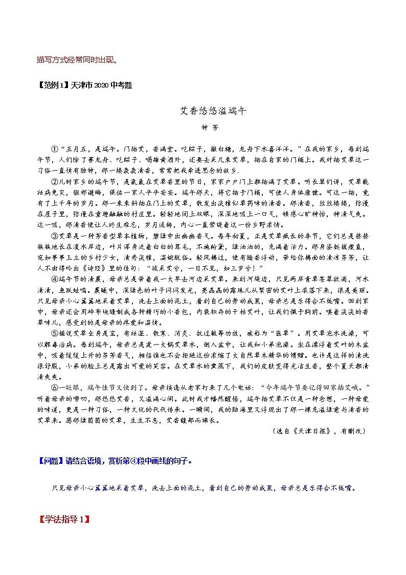 专题11 肖像（外貌）描写、神态描写-初中现代文阅读考点+答题技巧模板之记叙文02