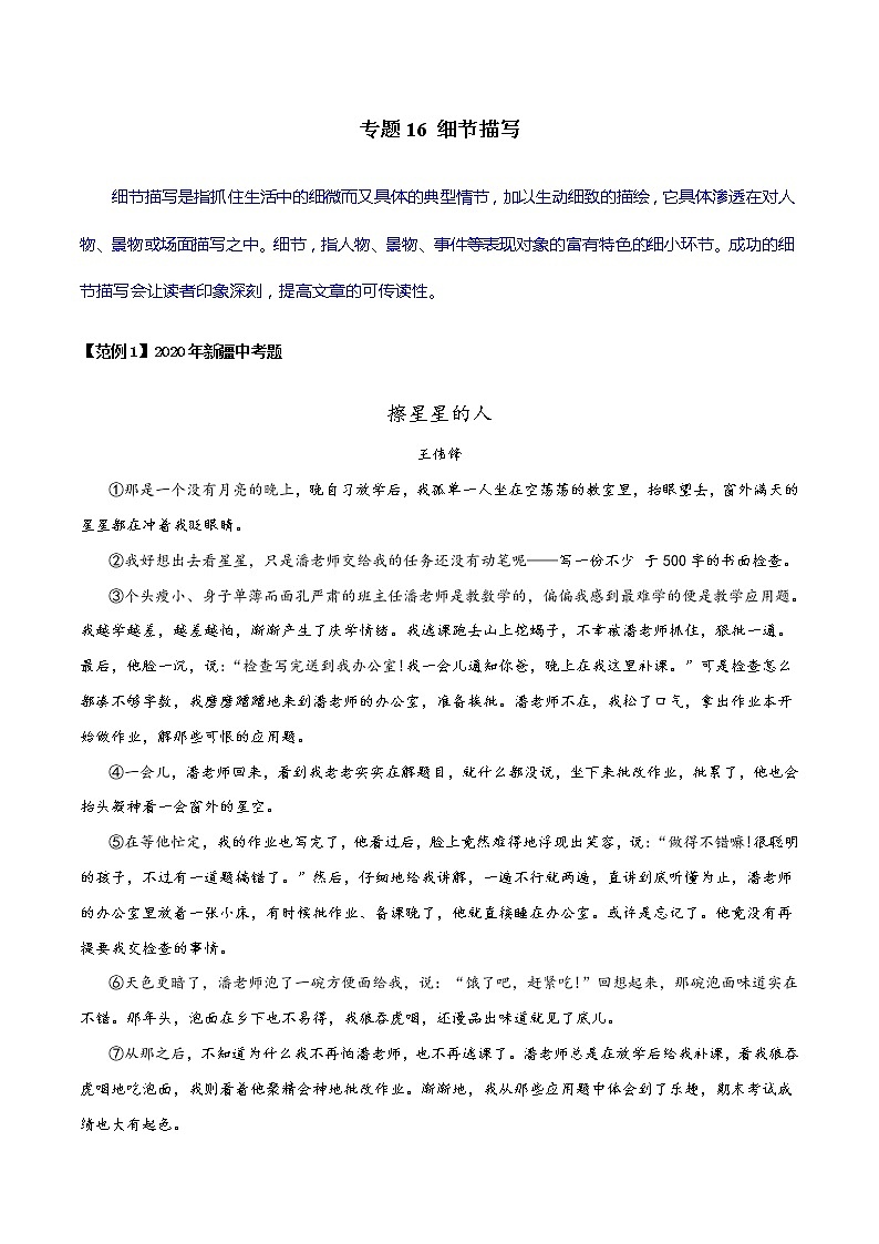 专题16 细节描写-初中现代文阅读考点+答题技巧模板之记叙文01