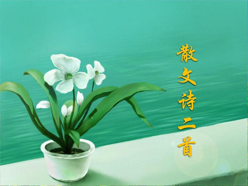 第七课  散文诗二首  金色花  荷叶母亲第1页