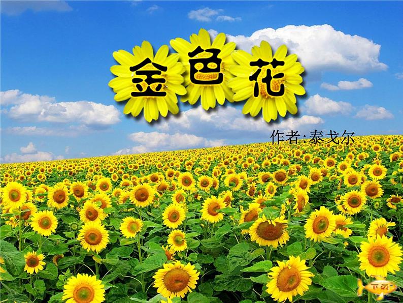 第七课  散文诗二首  金色花  荷叶母亲第2页
