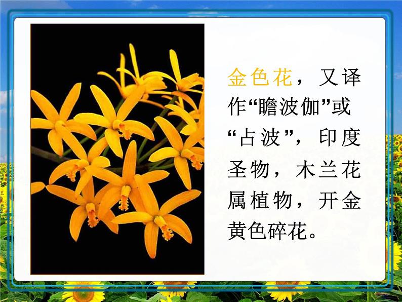 第七课  散文诗二首  金色花  荷叶母亲第3页