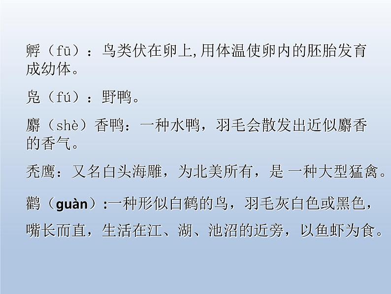 17  动物笑谈ppt08