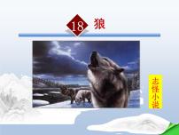 初中语文人教部编版七年级上册第五单元18 狼课文配套课件ppt