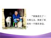 部编九上课件16 孤独之旅