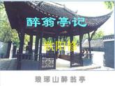 部编九年级上册11 醉翁亭记  主课件