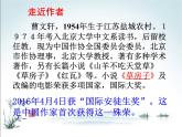 部编九年级上册16 孤独之旅   主课件