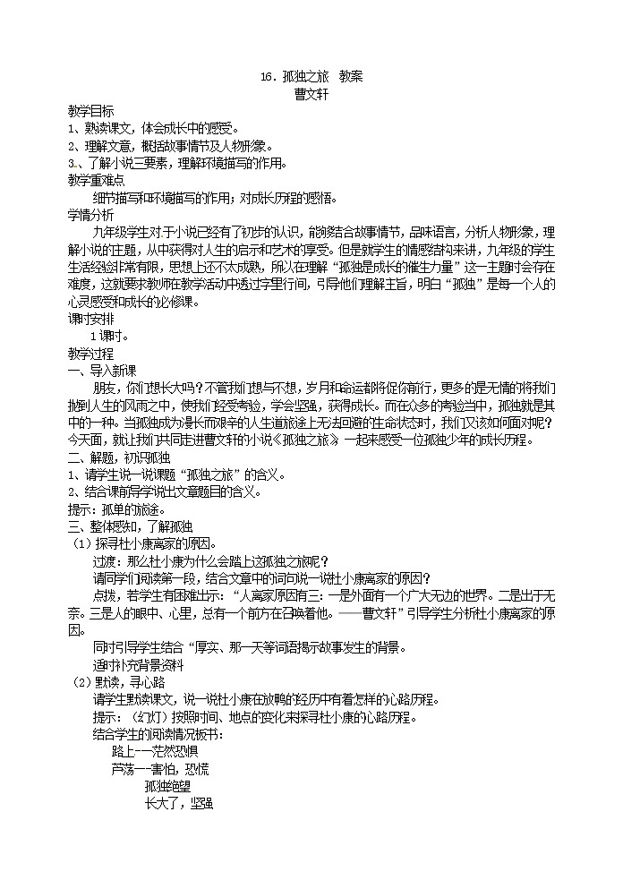 16．孤独之旅  教案第1页