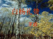 人教部编版八年级上册14 白杨礼赞授课课件ppt