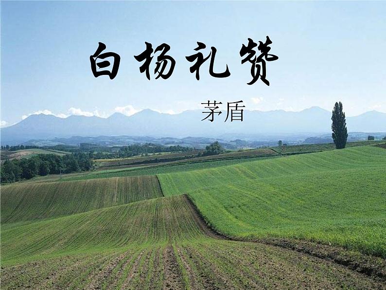 人教部编八年级上册课件白杨礼赞 2第1页