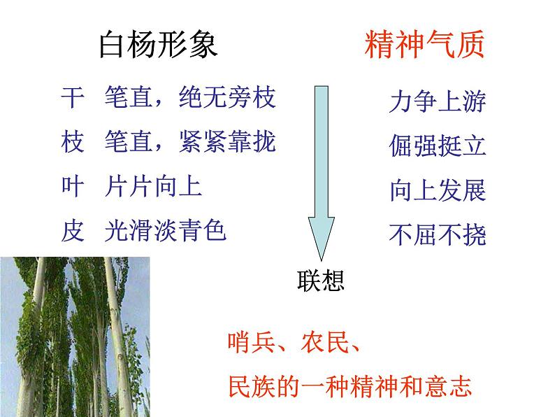 人教部编八年级上册课件白杨礼赞 2第7页