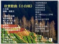 语文人教部编版14 白杨礼赞教学ppt课件