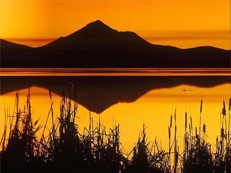 人教部编八年级上册课件短文两篇3第8页