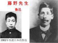 初中人教部编版6 藤野先生课前预习课件ppt