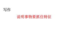八年级上册写作 说明事物要抓住特征说课课件ppt