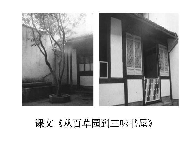 人教部编八年级上册课件藤野先生806