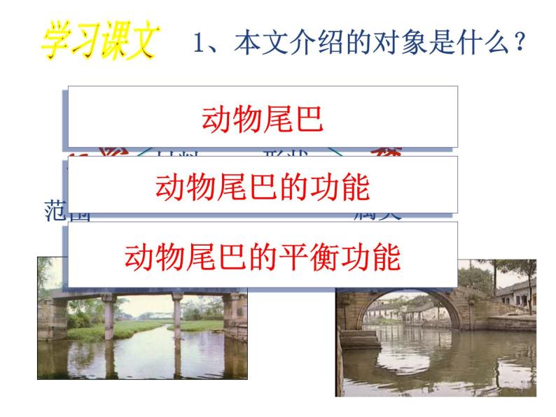 人教部编八年级上册课件中国石拱桥504