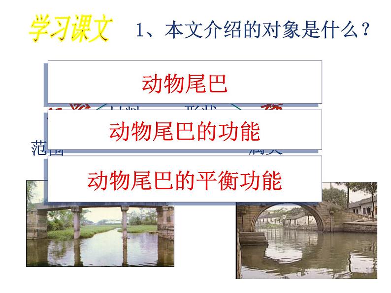 人教部编八年级上册课件中国石拱桥504