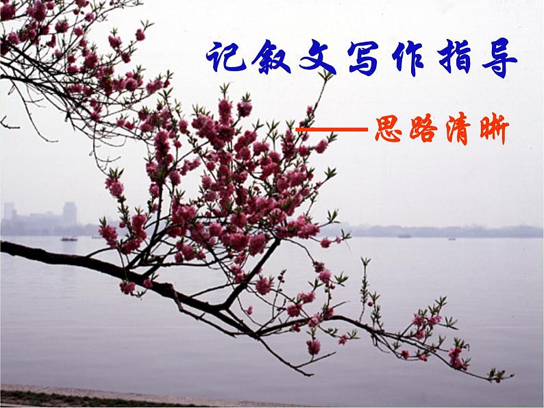 人教部编七上记叙文之思路清晰课件PPT01