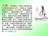 人教部编七上21 女娲造人课件PPT