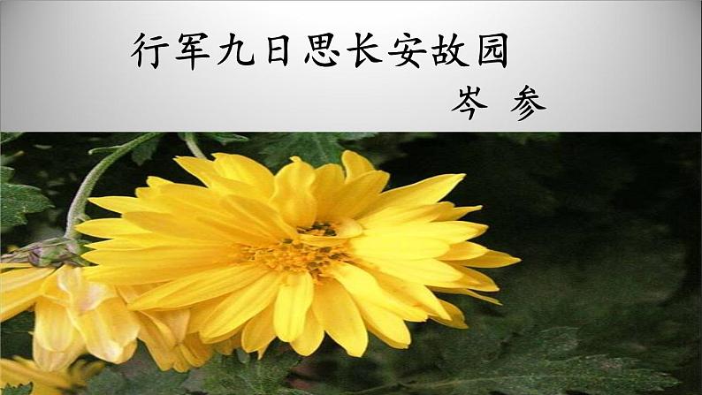 行军九日思长安故园课件第1页