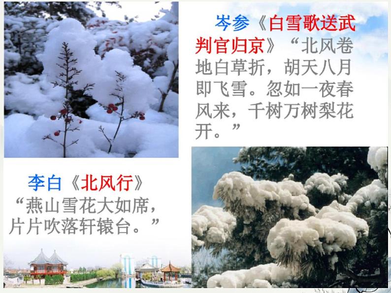 1 沁园春 雪 毛泽东 参赛获奖教学ppt课件第5页