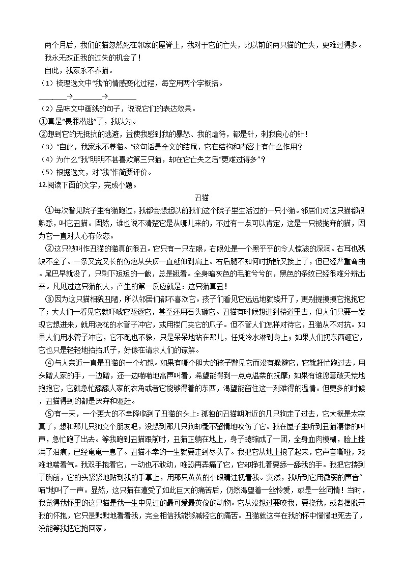部编版语文七年级上猫同步练习第3页