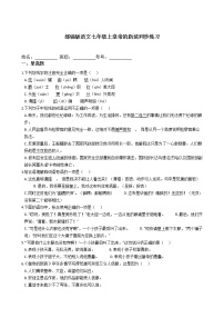 语文七年级上册19 皇帝的新装达标测试