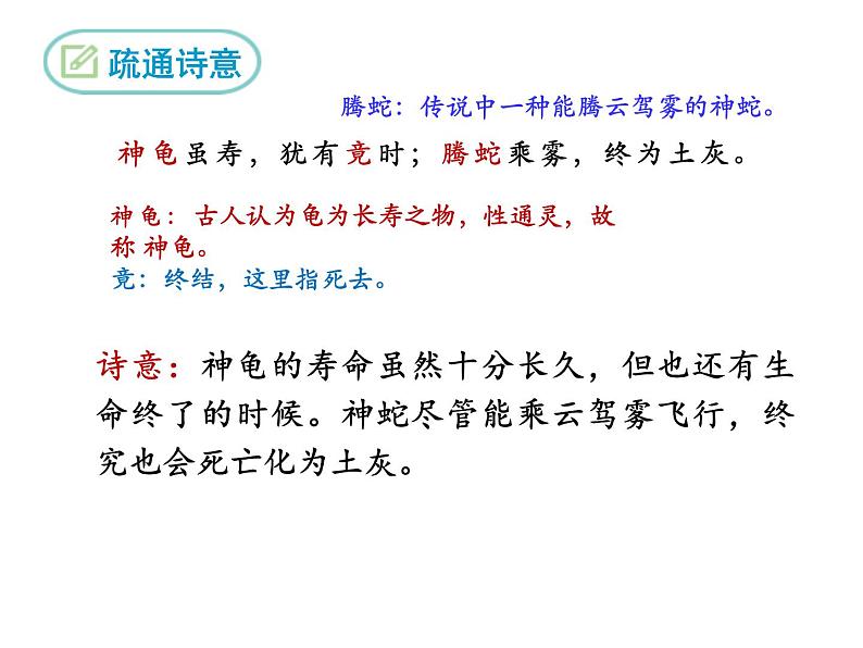 第三单元课外古诗词诵读《龟虽寿》课件06