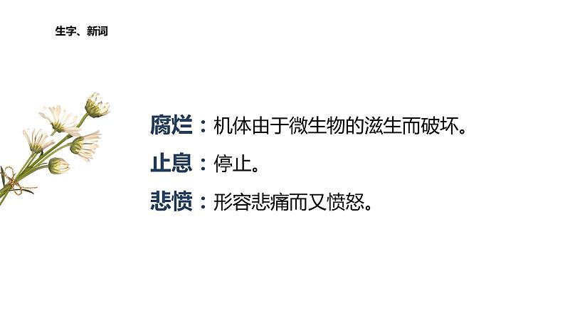 2我爱这土地课件第8页
